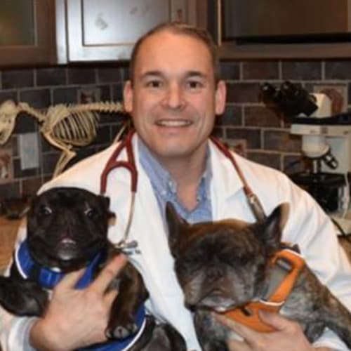 Dr. Victor Scaperotti, Mahopac Veterinarian